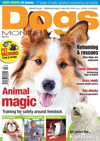 Dogs-Monthly-May2014-Cover-FeatureImage