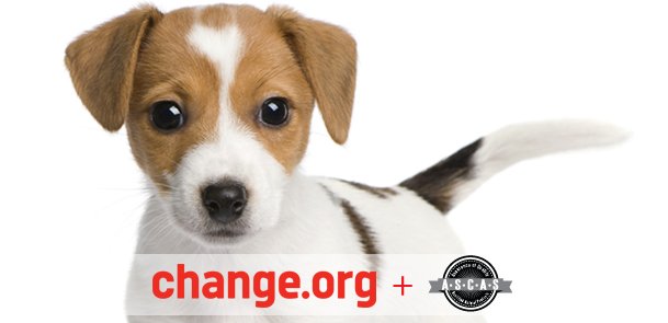 ASCAS.org + Change.org Petition