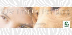 WildWash pet bloggers review our luxury pet shampoo line