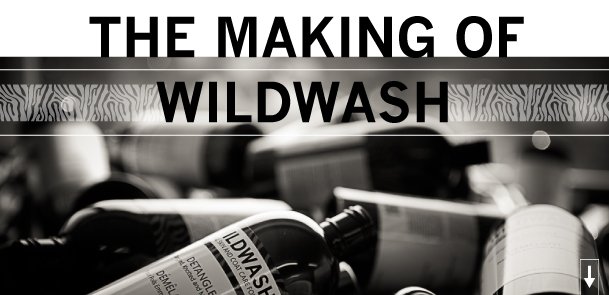 Free Interactive PDF Download from WildWash Co.