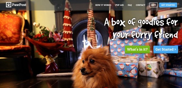 PawPost includes pet luxury shampoo in Christmas goodie box - WildWash Co.