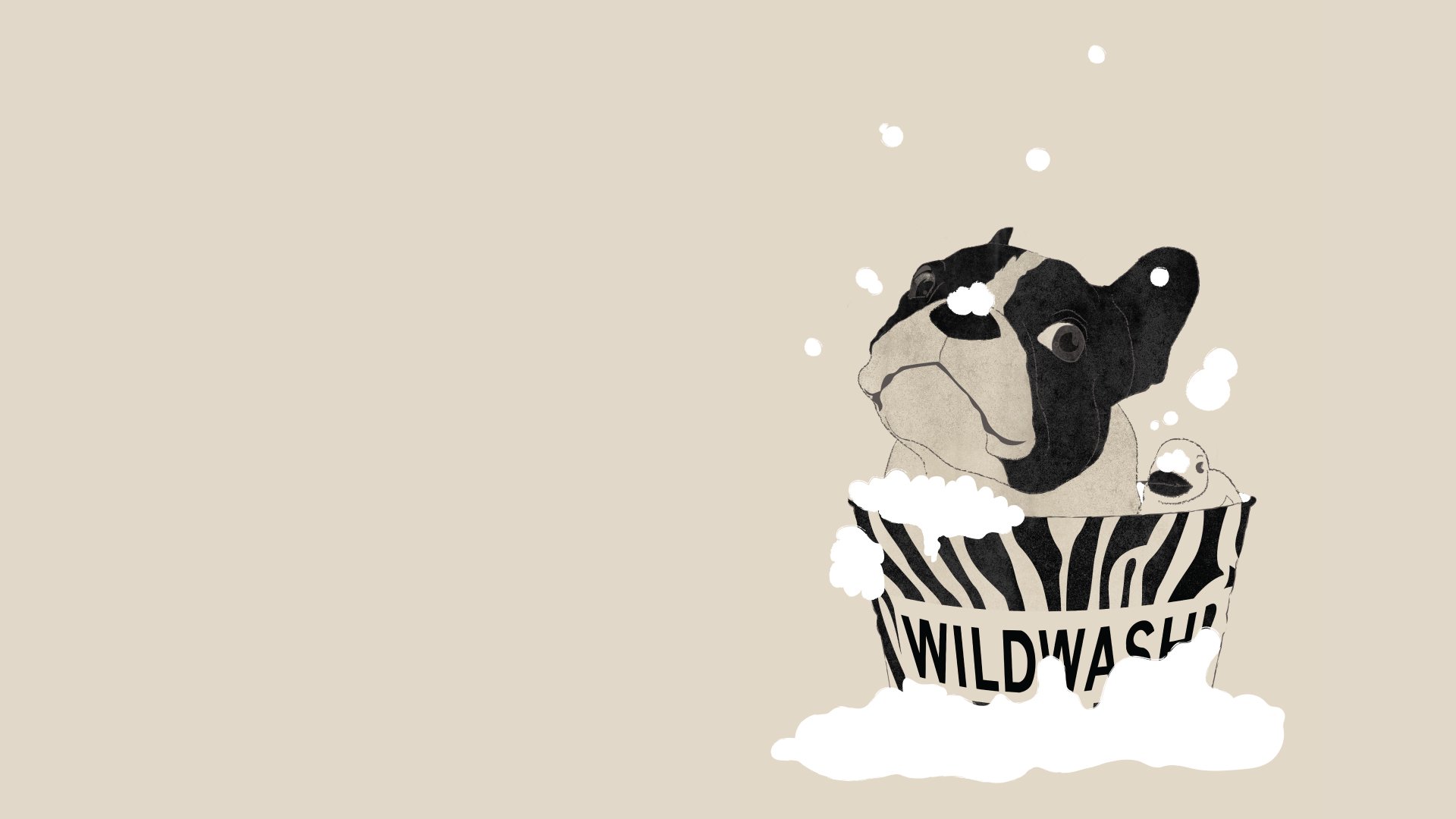 free WildWash desktop background download