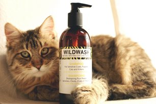 WildWash-Kitty-Cat