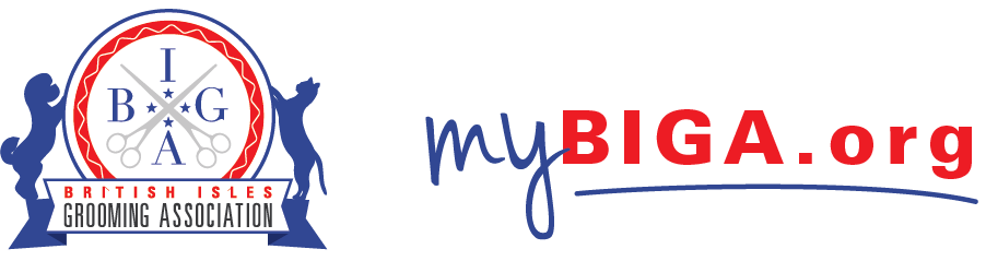 mybiga-logo-banner-side
