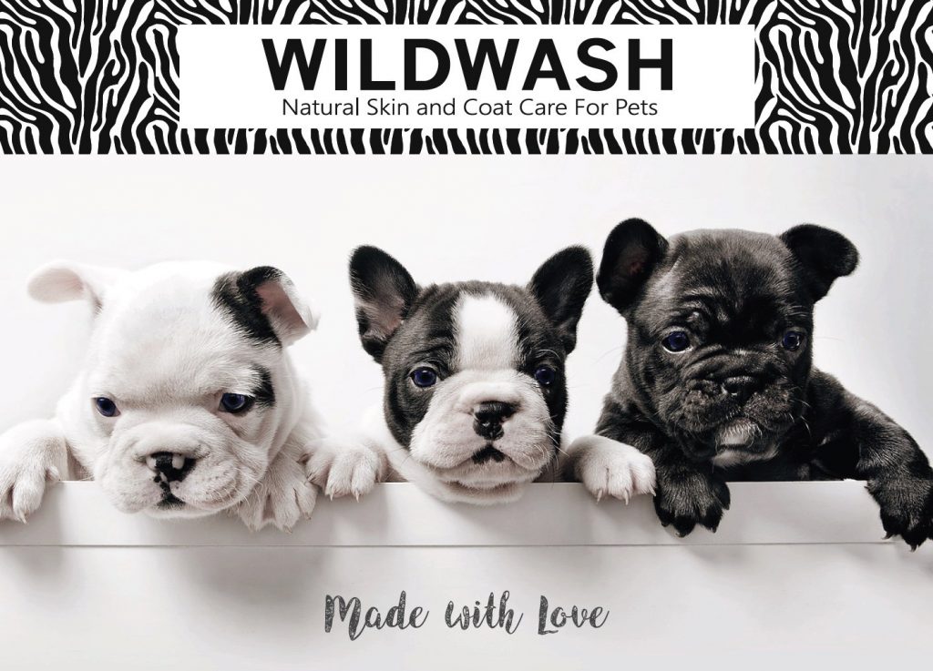 WildWash Launches In India