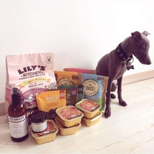 wildwash-pet-product-pic-1