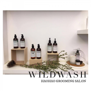 wildwash taiwan 1