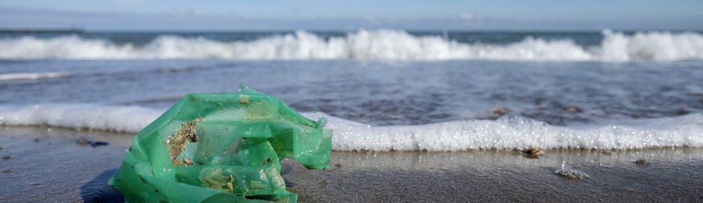 Ocean Plastic Pollution