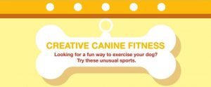 Try These Fun Exercises With Your Dog for National Pet Month