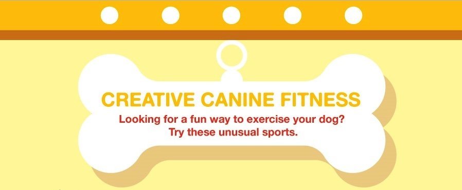 Try These Fun Exercises With Your Dog for National Pet Month