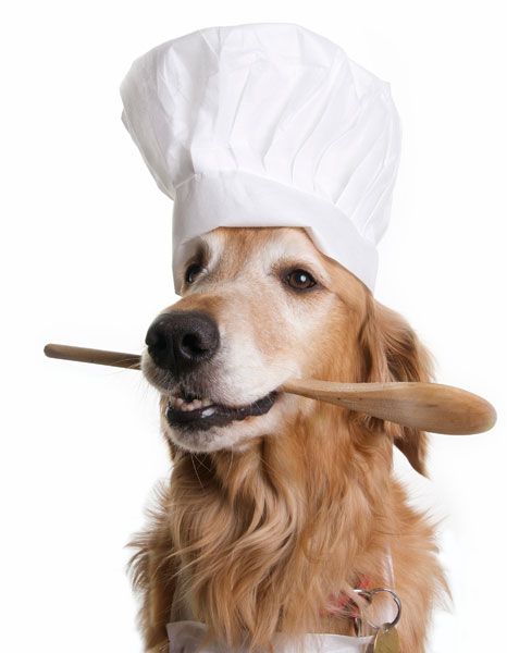 cooking homemade dog treat