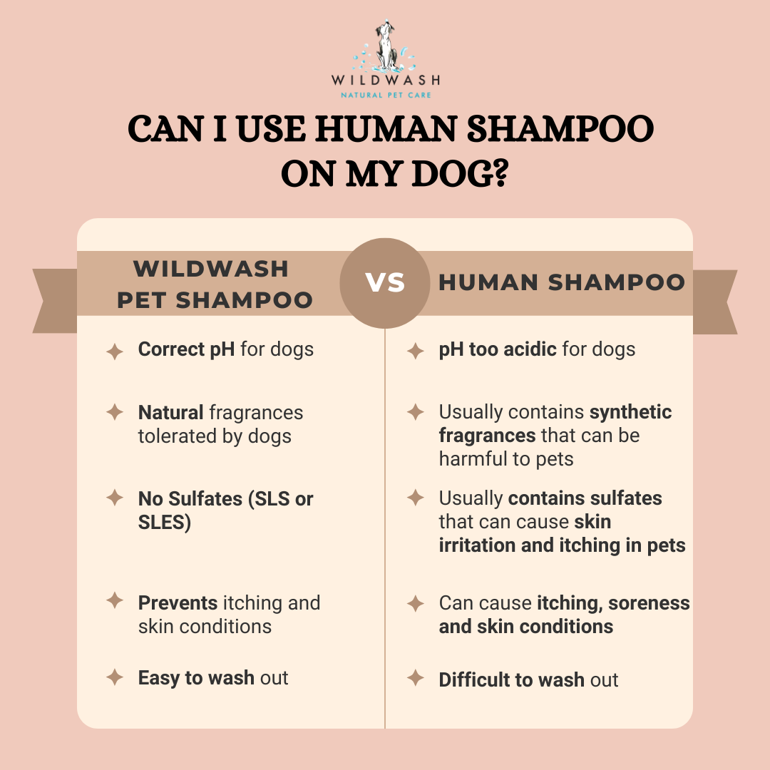 Copy of Pet Shampoo vs Human Shampoo (3)