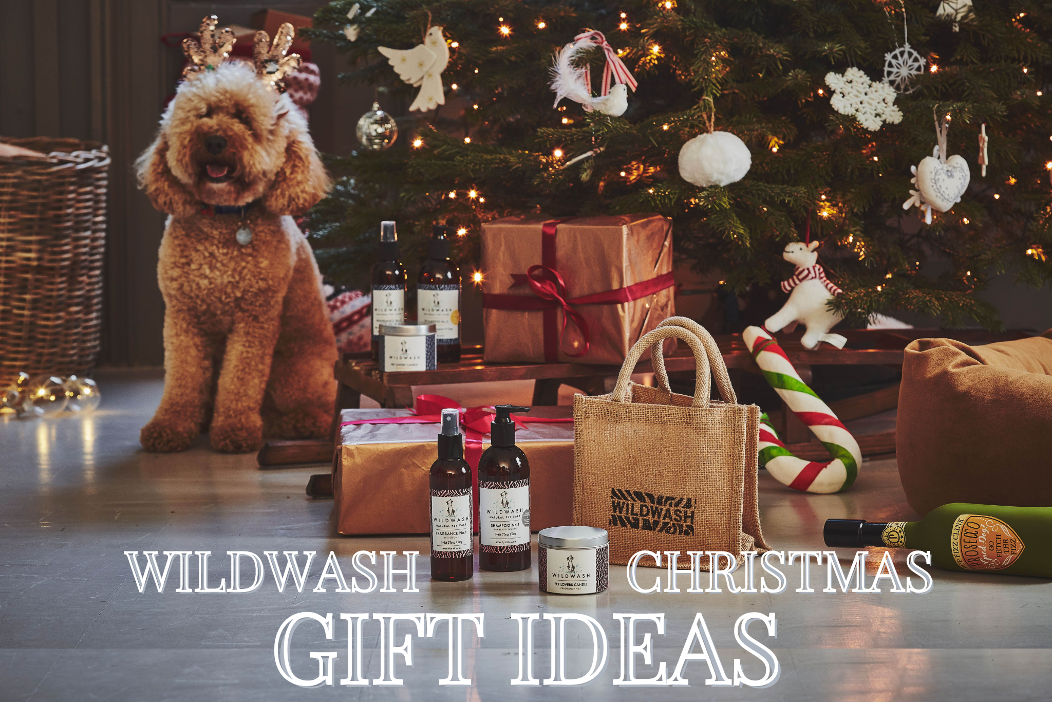 WildWash Christmas Gift Guide Ideas (2)