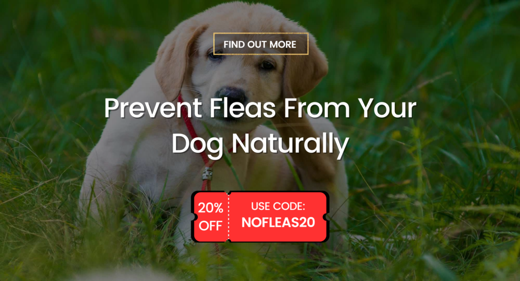 anti-fleas remedy - 20% discount with code NOFLEAS20