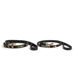Earth Beaded Dog Lead