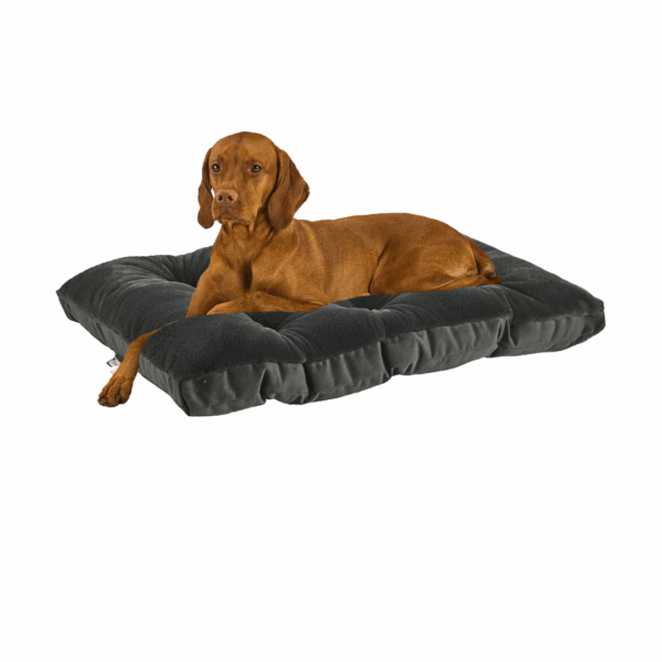 Bowser Dog Bed Dream Futon Galaxy - Image 3