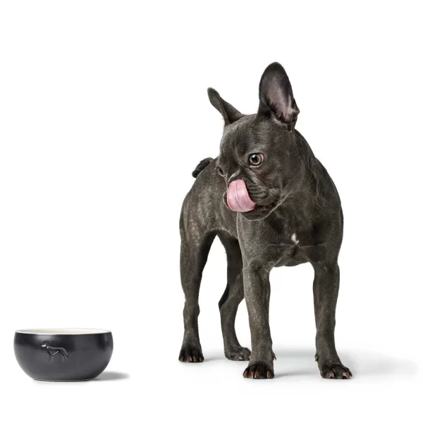 Lund Ceramic Dog Bowl - Black - Image 4