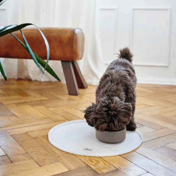 Hunter Osby Ceramic Dog Bowl - Taupe - Image 3