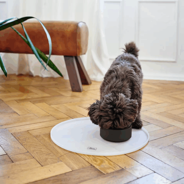 Hunter Osby Ceramic Dog Bowl - Anthracite - Image 3