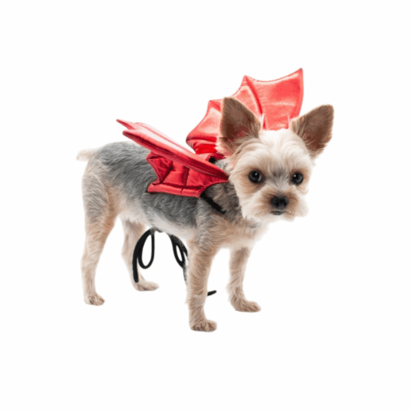 Dragon Wings Halloween Dog Costume